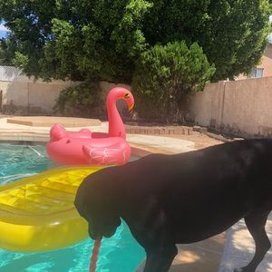 Meet your Posher, Denise